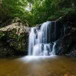 A waterfall in the woods