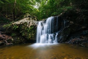 A waterfall in the woods