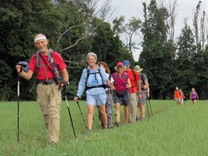 A group of MCM members hiking in a single file line