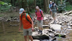 Members of MCM crossing a stream using by stepping on large rocks