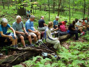 MCM members resting on a group of fallen trees