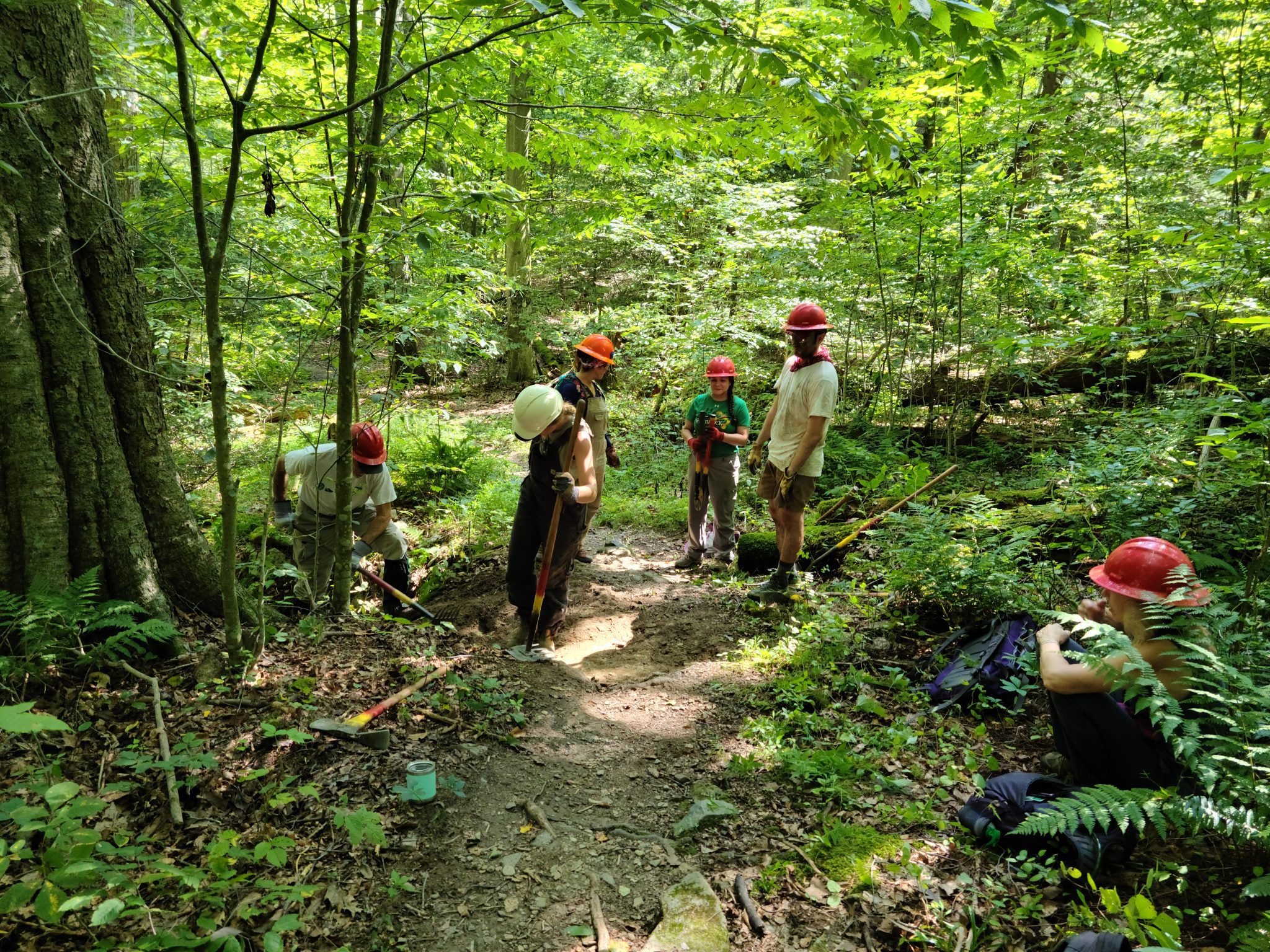 MCM Volunteers Receive Trail Maintenance Training Mountain Club of
